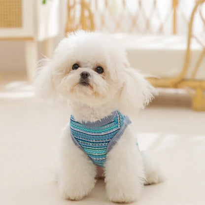 Breathable Mesh Pet Dog Vest Dog Summer Clothes Thin Cooling T Shirt Chihuahua Bichon Costume Cat Clothing Girls Puppy Shirt New