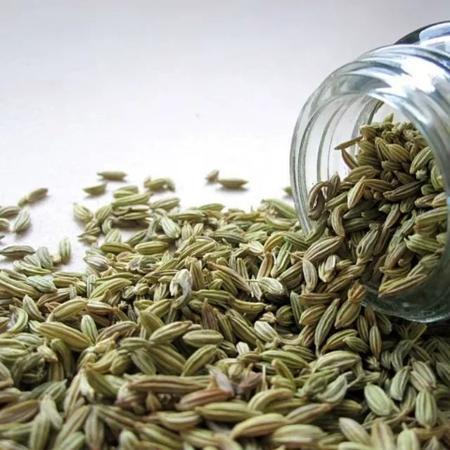 Premium Fennel Seeds Saunf Export Quality Whole Spice Sweet Aroma Cleaned Graded Bulk Supply from India Cooking Mouth Freshener