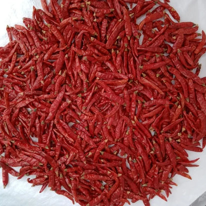 Premium Teja S17 Raw AD Dried Red Chilli Export Quality High Pungency Whole Red Pepper Bulk Supply From India