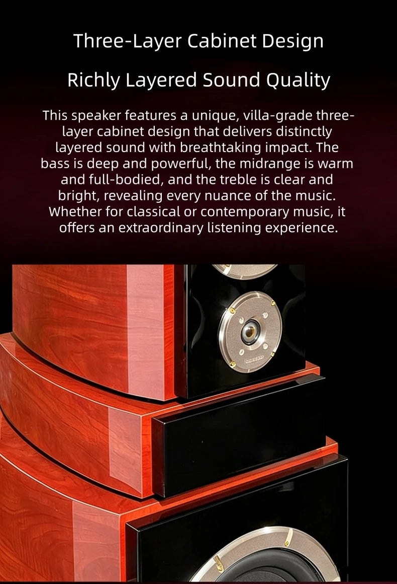 BN838 Hi-Fi Home Theater Speakers with Karaoke Amplifier, Luxury Audio System for Villa & Large Living Rooms