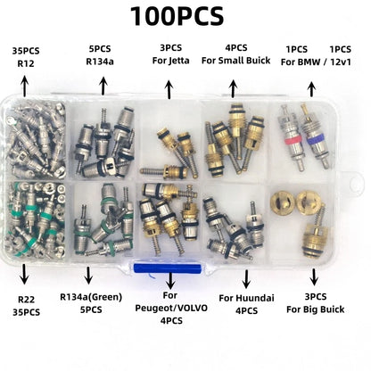100Pcs/box R134A Car A/C Core Valves Automotive Air Conditioning Assortment Kit 1