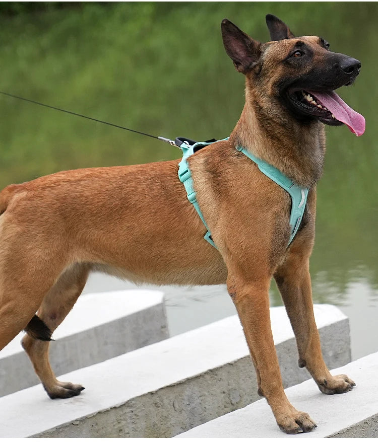 SMALL COMBINATION Pet Harness No Pull Nylon Reflective Dog Harness Adjustable Comfortable Control Walking Running Accessories