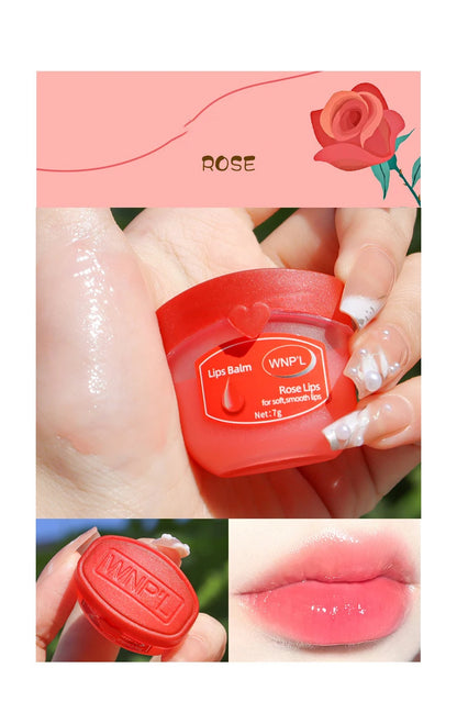 4/6/8pcs Moisturizing Lip Balm Sets Lipstick Makeup Natural Plant Base Moisturizer Lip Balm Anti-Cracking Lips
