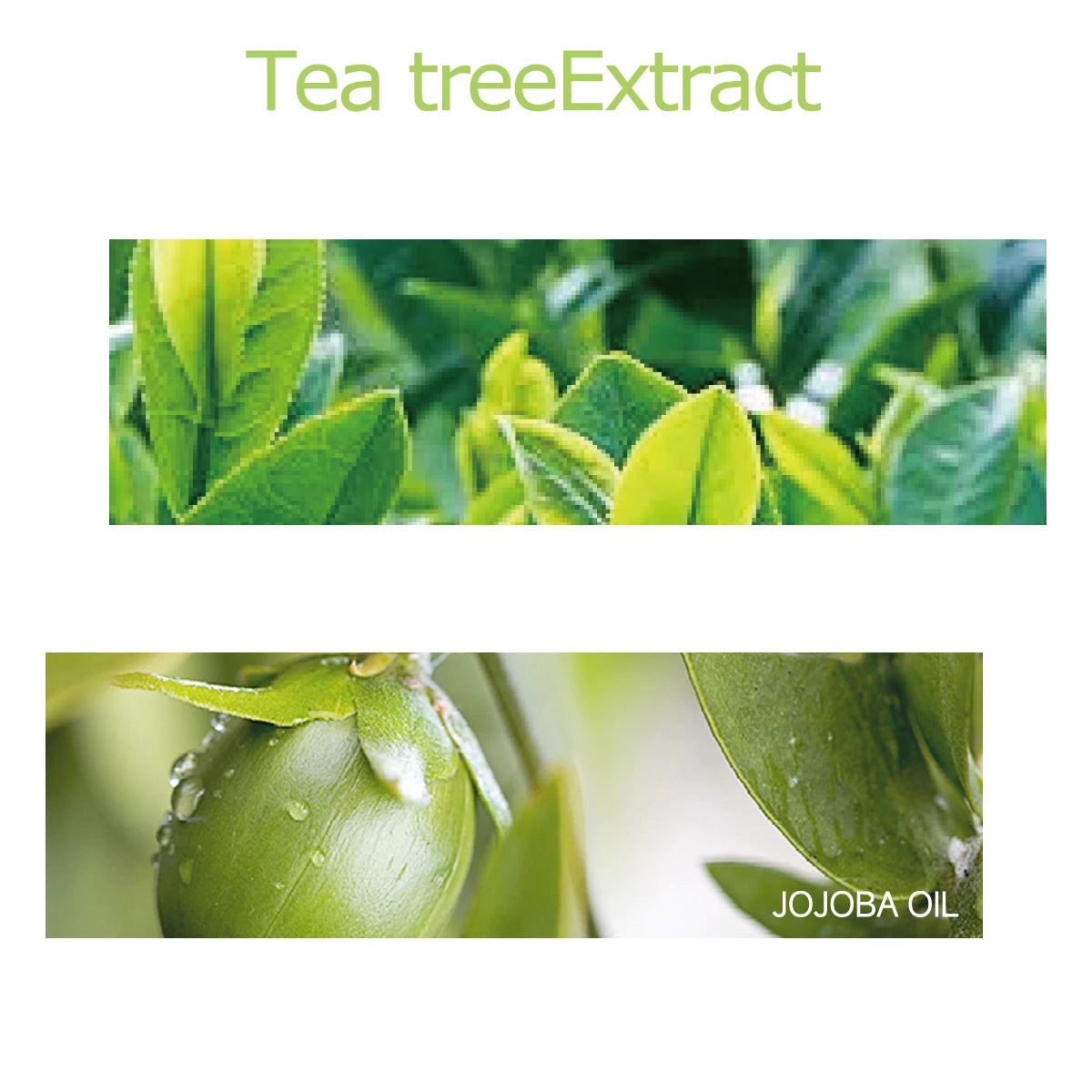30ml/60ml/100ml tea tree essential oil is suitable for facial hydration, moisturizing, hair care, skin care, and perfume making