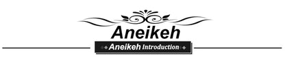 Aneikeh 2026 New Women's Water Diamond Flower Sandals with Transparent Thick Bottom Party Dress PVC Slippers Mules High Heels