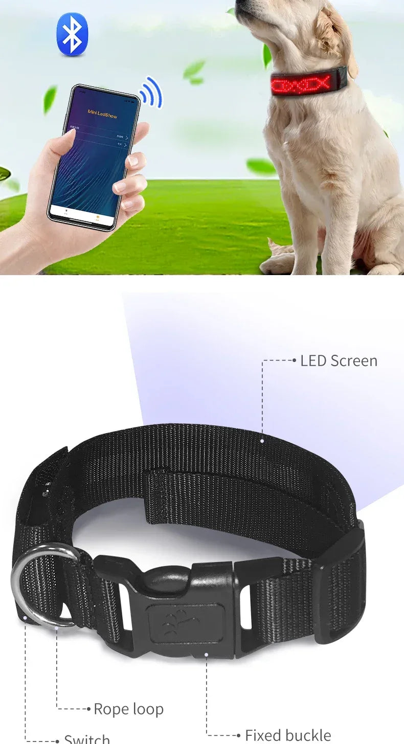 LED Dog Collar DIY ID LED Tag Nameplate Night Glowing Pet Collars Adjustable Safety Puppy Collar for Small Medium Large Dogs