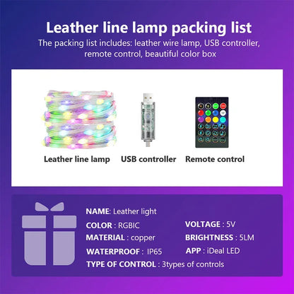 Dreamcolor Rgb Led Strip WS2812B Bluetooth Smart String Fairy Lights Christmas Garland Light Waterproof For Party Curtain Room
