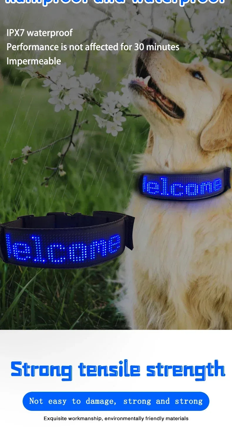 LED Dog Collar DIY ID LED Tag Nameplate Night Glowing Pet Collars Adjustable Safety Puppy Collar for Small Medium Large Dogs