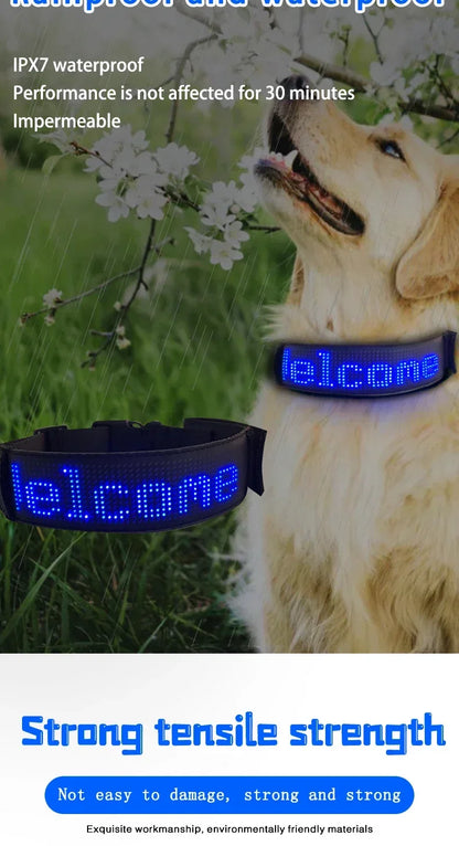 LED Dog Collar DIY ID LED Tag Nameplate Night Glowing Pet Collars Adjustable Safety Puppy Collar for Small Medium Large Dogs