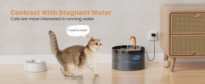 Pet Water Fountain Auto Filter Set Automatic Sensing Cat Drinker 2.1L Recirculate Filtring Drinking for Cat Dog Water Dispenser