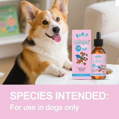 Pet Collagen Drops Effectively Maintain Cartilage Health Support Joint Mobility Promote Joint Lubrication Pet Dietary Supplement