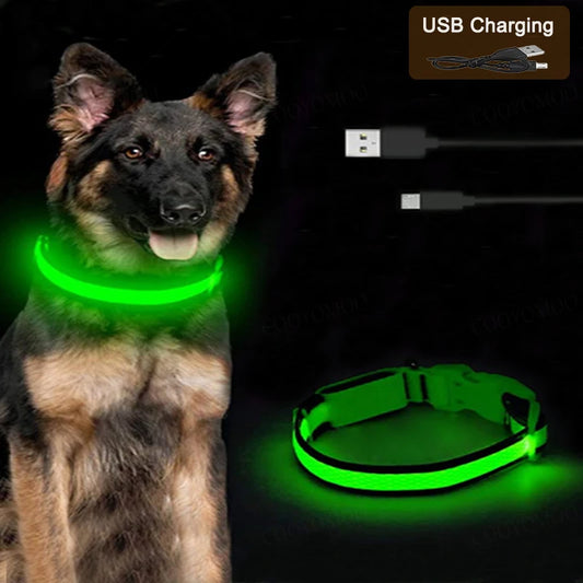 3 Modes Dog Luminous Charge Collar Led Usb Cat Dogs Collars Detachable Night Led Glow Dog Loss Prevention Collar Pet Accessories by PDG ibma