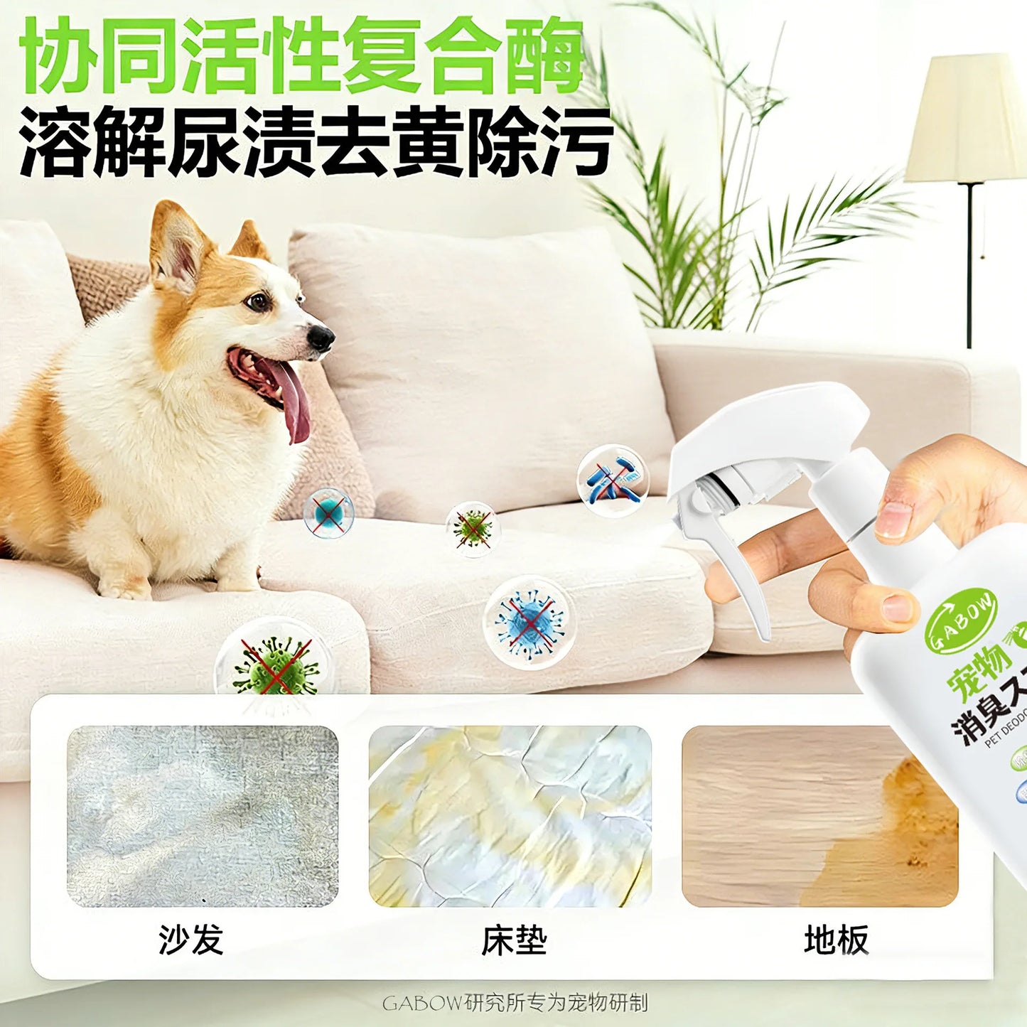 Pet deodorant, deodorant, deodorant, fragrance retaining, general antibacterial, urine removing, odor removing, spray, clear air