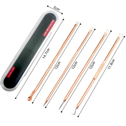 4Pcs Blackhead Removal Needles Black Dots Cleaner Stainless Steel Spot Extractor Acne Treatment Needle Face Clean Care Tool