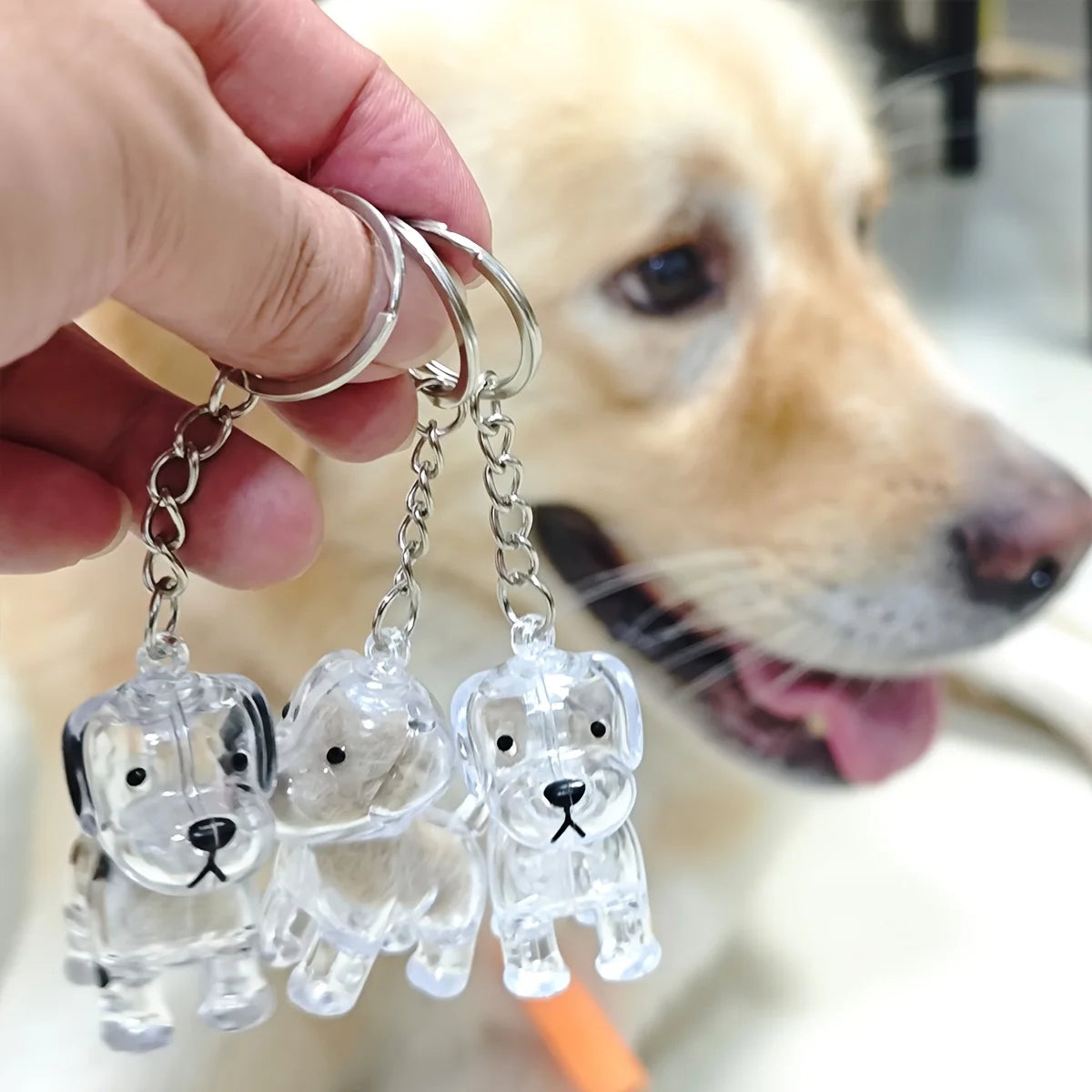 Adorable Dog Hair Storage Pendant Transparent Lovely Pet Hair Storage Box Keychain Handmade DIY Pet Souvenirs for Pet Lovers