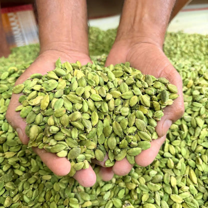 Luxury 8+1 Grade Highland Reserve Fresh Raw Extra Green Cardamom Pods Fragrant Seed Pods Signature Spice Collection Bulk Export