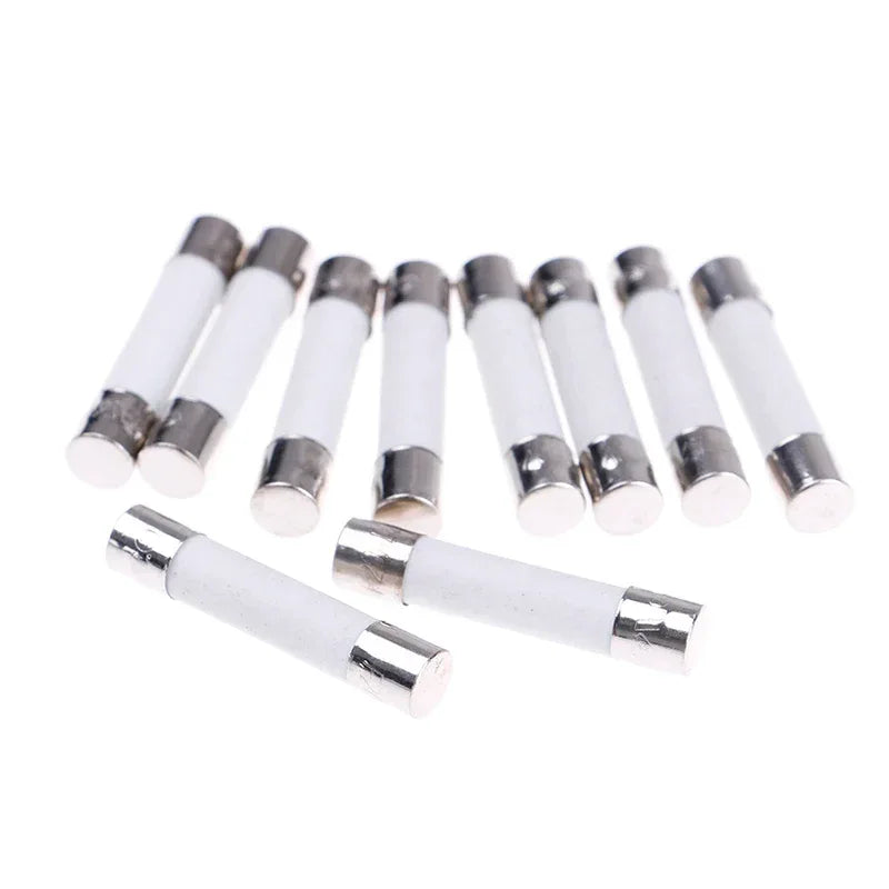 10 Pcs Microwave Ceramic Fuse Electric 20A 250V Home Supplies DIY 6x30mm Wholesale