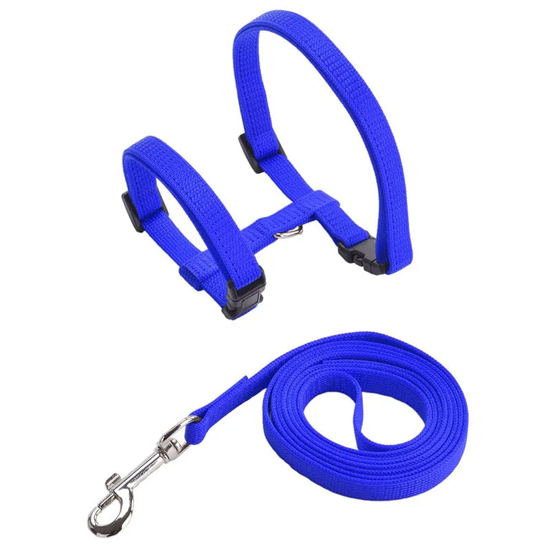 Adjustable Pet Cat Collar For Cats Cozy Nylon Rabbit Kitten Kedi Harness Leash Set Dog Cat Accessories Products For Pets
