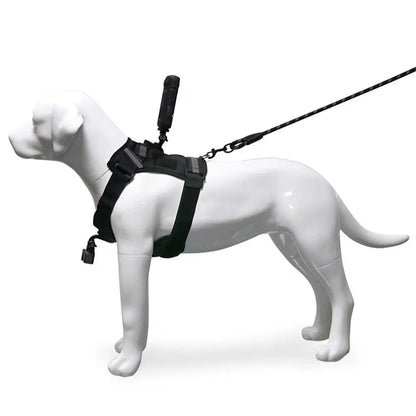 Dog Harness for All Action Cameras Soft Adjustable Dog Harness Mount for Large Medium Small Dogs Used for Chest Back Fixation
