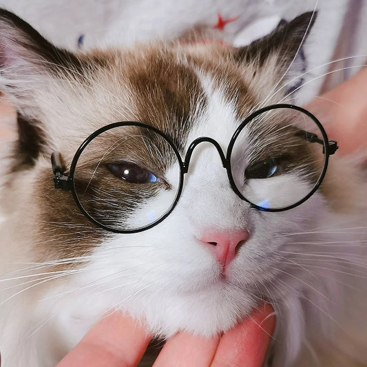 Vintage Round Cat Sunglasses Reflection Eyewear Glasses Pet Products for Dog Kitten Dog Cat Accessories for Small Dogs by PDG ibma
