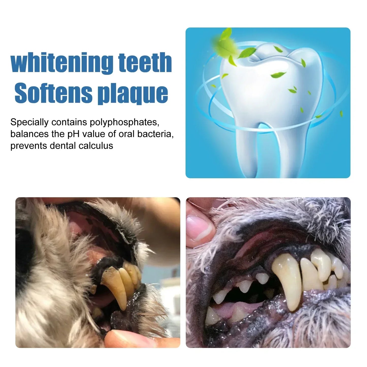 Pet Tartar Remover Natural Plaques Off & Tartar Remover for Dogs & Cats Freshen Breath Foam for Dogs & Cats Support Healthy Gums