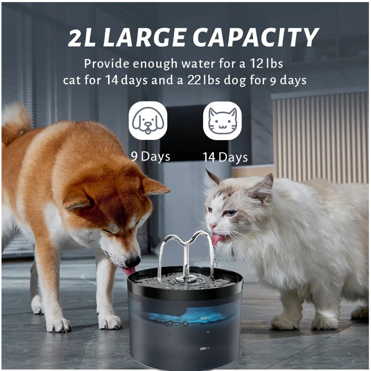 Pet Water Fountain Auto Filter Set Automatic Sensing Cat Drinker 2.1L Recirculate Filtring Drinking for Cat Dog Water Dispenser
