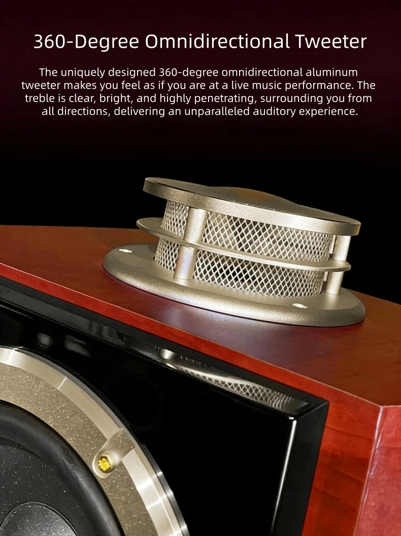 BN838 Hi-Fi Home Theater Speakers with Karaoke Amplifier, Luxury Audio System for Villa & Large Living Rooms