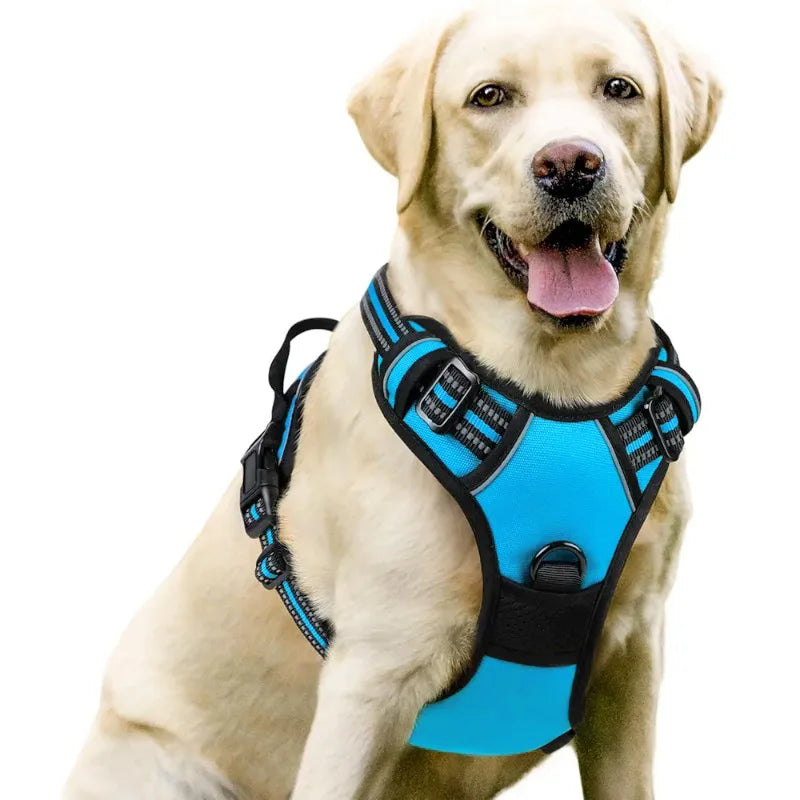 Medium Large Dog Collars Harness Big Vests Harness for Dog Pet Shop Everything for Dogs Small Dogs Harness Puppy Accessories
