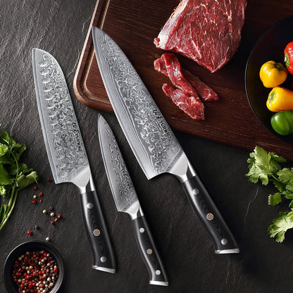 TURWHO 1PC-3PCS Professional Kitchen Knives Set Utility Santoku Chef Knife Japanese 67 Layer Damascus Steel G10 Handles Gift Box