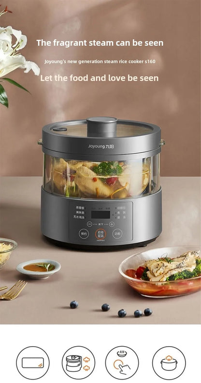 Steam rice cooker smart home low-sugar glass inner liner steamer multi-function rice cooker S160