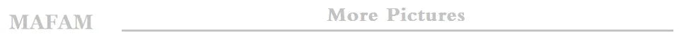 Mafam F899 Small Cover Folded Elderly Mobile Phone For Seniors Dual Display SOS Button Fast Quick Call Anti-Scratch Low Price