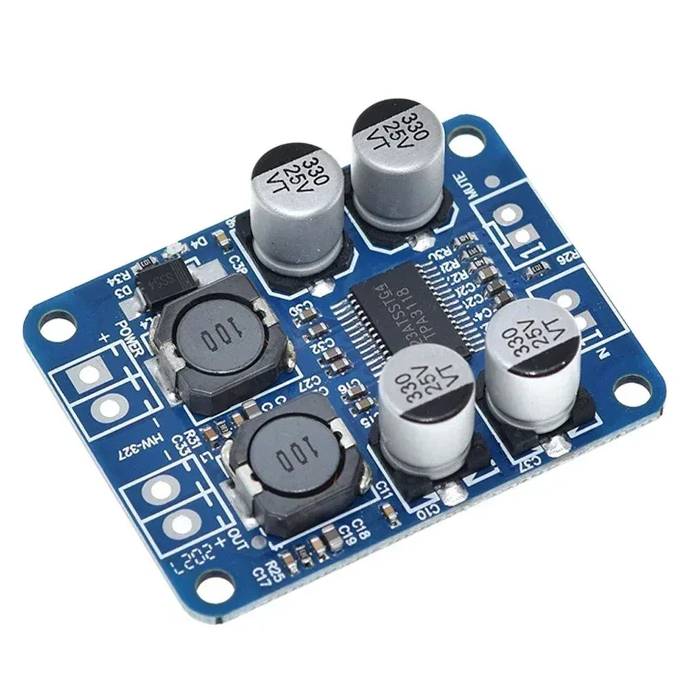XH-M313 TPA3118 60W DC8-24V Mono Digital Audio Power Amplifier Board Amp Module Car Audio Amplifiers Operational Amplifier Chips