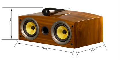 AVplay Double 10 inch HiFi Fever Speaker 7.1/7.2 Home Theater Cinema System With 12 Inch Subwoofer 5.5 inch Around Speaker