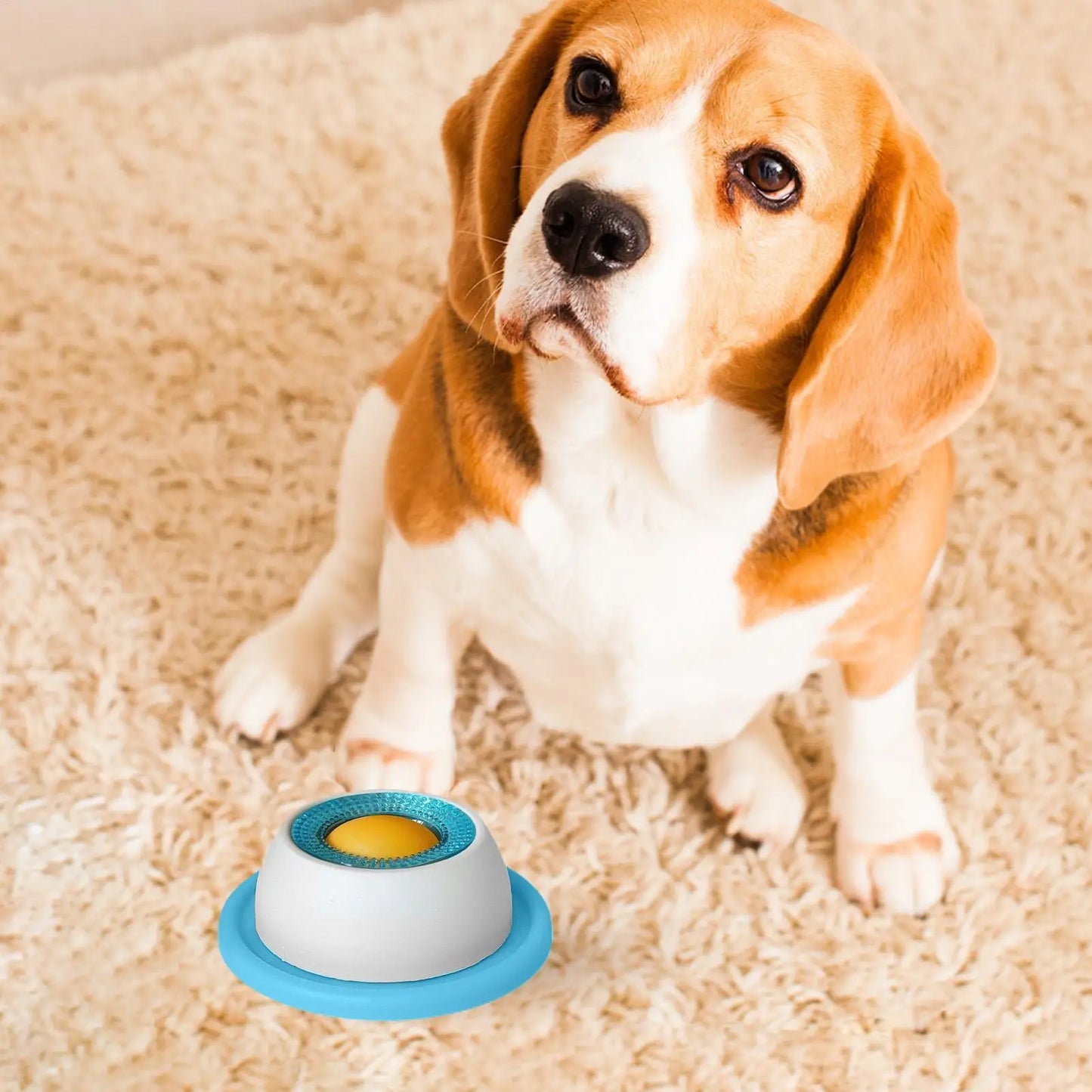 New Dog supplies Anti-overturning Pet toys anti-greedy bite-resistant anti-boring artifact kittens cats dog licking supplies