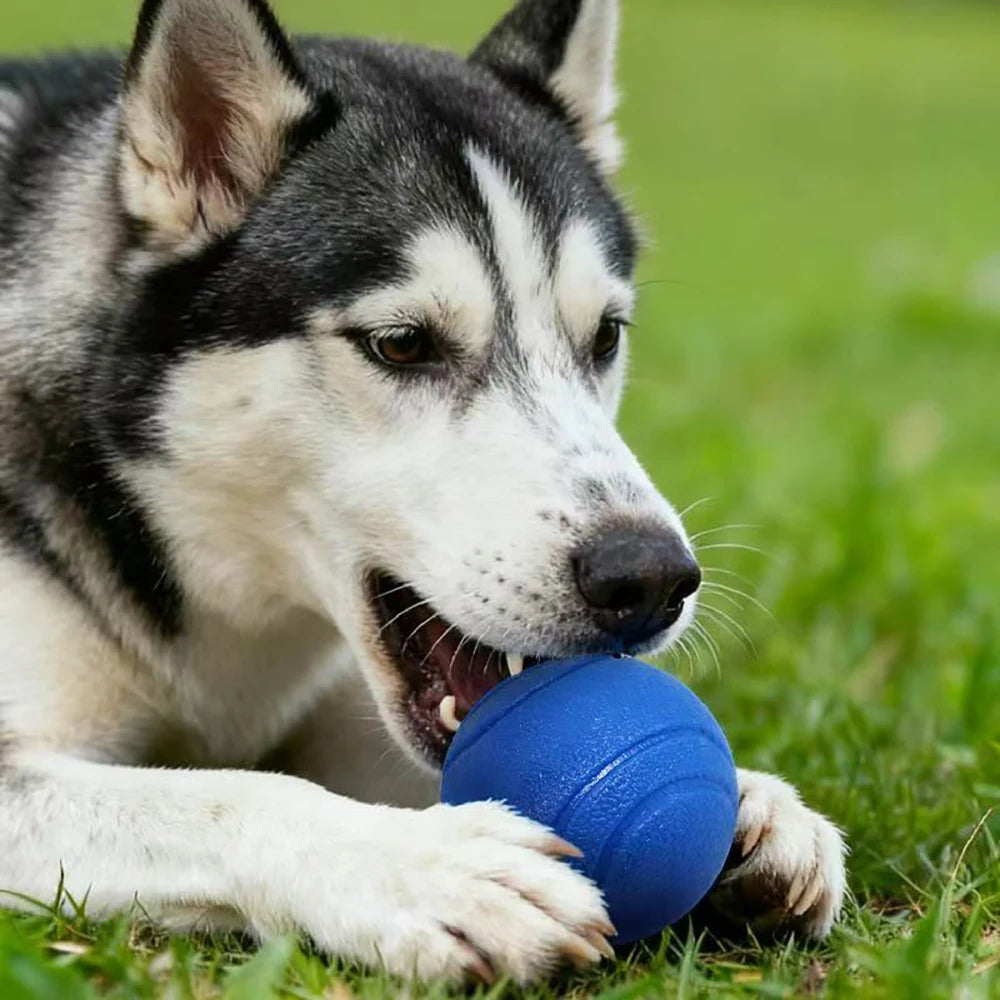 Pet Solid Elastic Toy Ball Cat/Dog Toy Ball 5/6/7CM Rubber Bite Resistant Dog Outdoor Training Tool Pet Teeth Cleaning Supplies