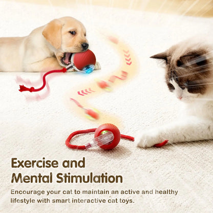 This Interactive Spherical Toy for Cats Features an Automatically Rotating Tail Ball Design and Is Rechargeable Electric Pet Toy