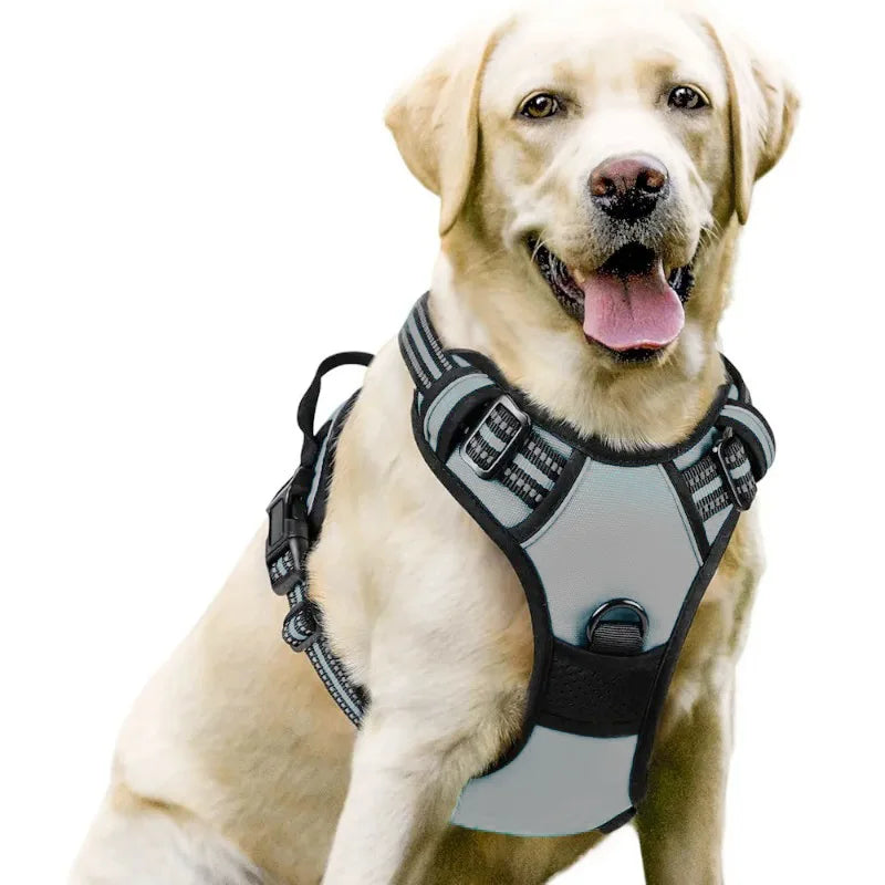 Medium Large Dog Collars Harness Big Vests Harness for Dog Pet Shop Everything for Dogs Small Dogs Harness Puppy Accessories