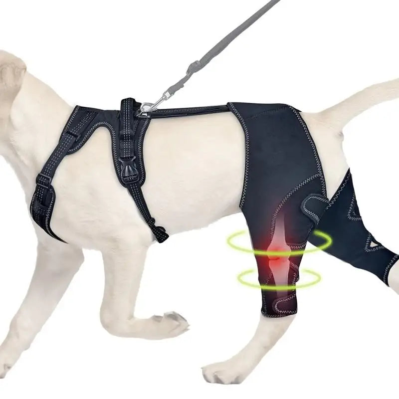 Orthopedic Brace For Dogs Pet Joint Hip Support Brace Adjustable Leg Support For Keeping Animal Joints Warm And Stable