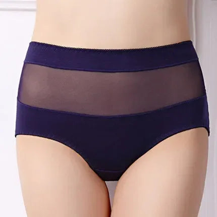Large Size 110 Kg Triangle Underwear Women's Mesh High Waist Hip Fat Transparent Sexy Lingerie sexy panties  women panties