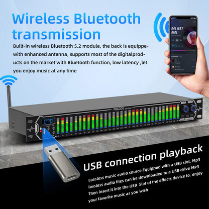 FULUODE EQ315 Professional Digital Equalizer Tuner for Stage Audio Noise Reduction with Segmented Display Audio Performance Equi