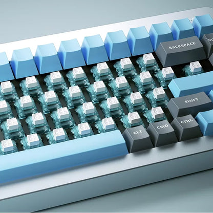 Kailh Arctic Fox Switches Clicky Tactile Keyboard Switch 5 Pins 63g RGB Switch With Light Guide Mechanical Keyboard MX Switches