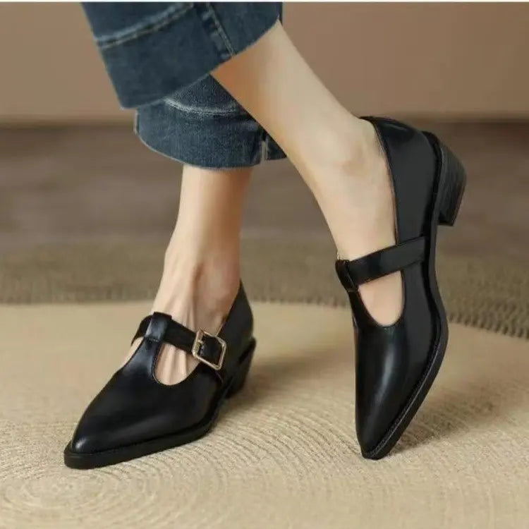 Ladies Shoes 2024 New Mary Janes Women's High Heels Fashion Buckle Strap Office and Career High Quality Pointed Toe Heels Women