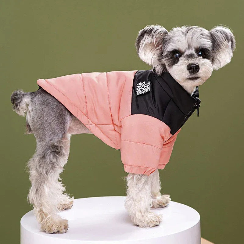 Fashion Dog Coat Clothes, Trendy Embroidered Dog Autumn and Winter Cotton Clothing, Pet Clothing, Thickened Warm Down Clothing