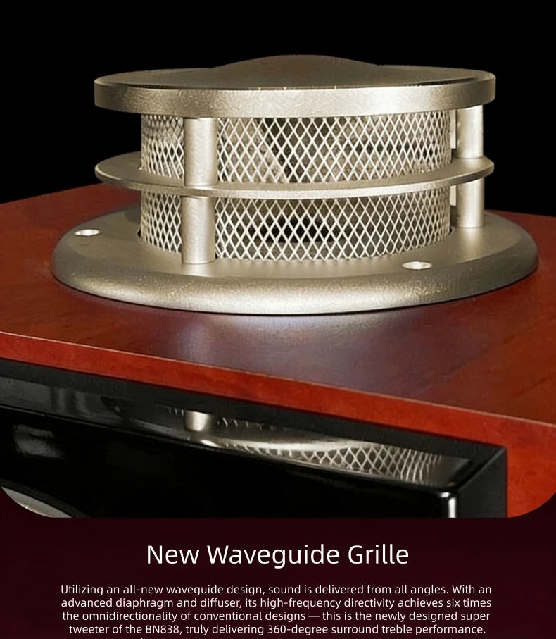 BN838 Hi-Fi Home Theater Speakers with Karaoke Amplifier, Luxury Audio System for Villa & Large Living Rooms