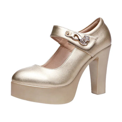 5 8 10cm Small Size 32-44 Elegant Gold Silver Wedding Shoes Women Platform Pumps 2026 Block High Heels Shoes Dress Office Model