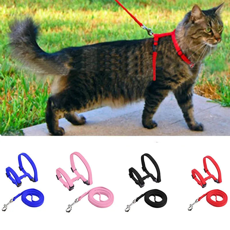 Adjustable Pet Cat Collar For Cats Cozy Nylon Rabbit Kitten Kedi Harness Leash Set Dog Cat Accessories Products For Pets
