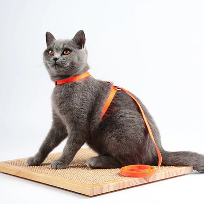 Adjustable Pet Cat Collar For Cats Cozy Nylon Rabbit Kitten Kedi Harness Leash Set Dog Cat Accessories Products For Pets