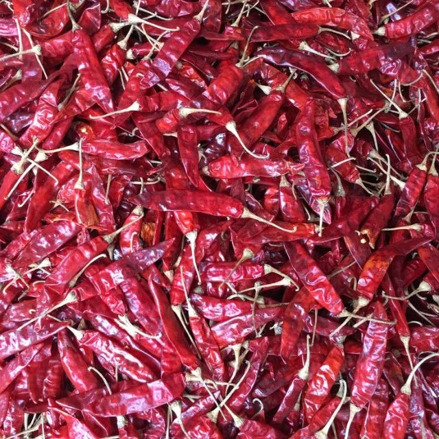 Premium Sannam S4 S334 S10 Dry Red Chilli Export Quality High Pungency Sun Dried Whole Chilli from India