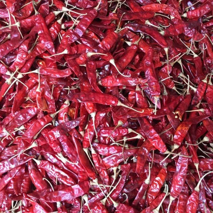 Premium Sannam S4 S334 S10 Dry Red Chilli Export Quality High Pungency Sun Dried Whole Chilli from India