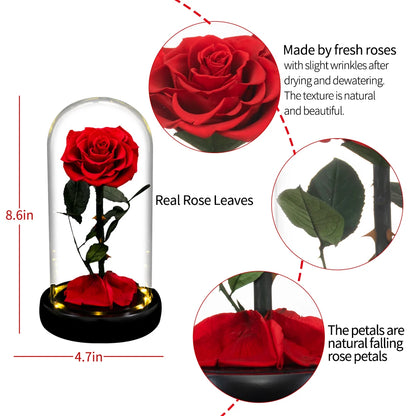 Forever Preserved Real Rose in GlaSS With LED Light Eternal Flower Gifts for Valentine's Day Mothers Day Anniversary Birthday